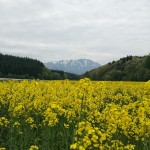20140515_115621